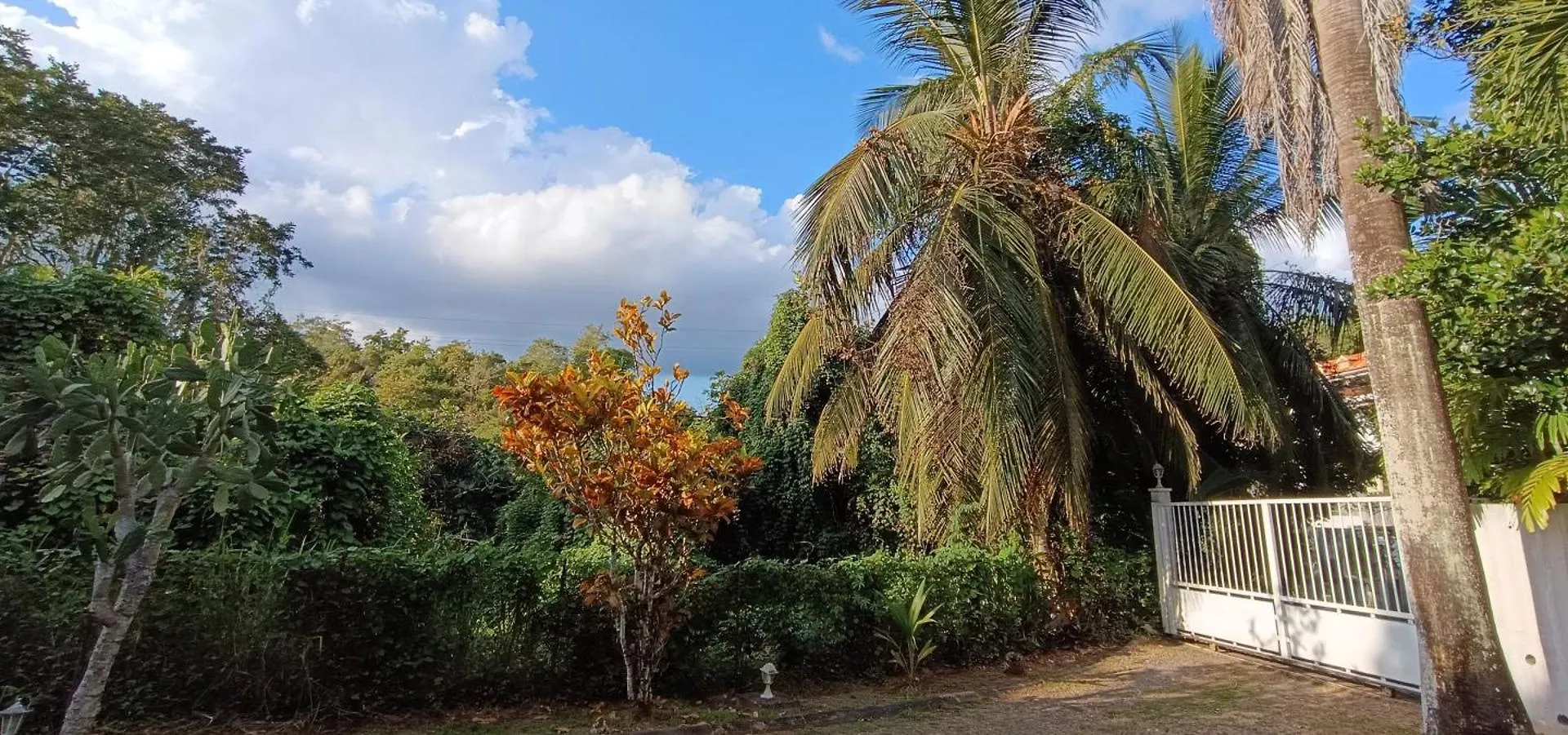 Studio Eden Rock Le Gosier Le Gosier  0*, Le Gosier (Grande-Terre)